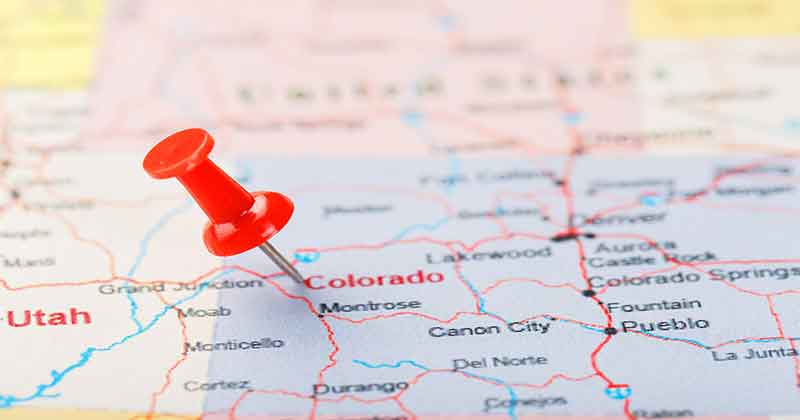 Bulk marijuana seeds in Colorado