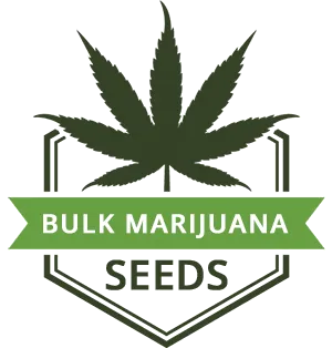 BulkMJSeeds