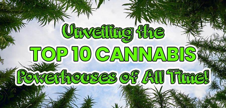 Cannabis Powerhouses