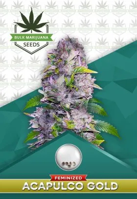 Acapulco Gold Strains