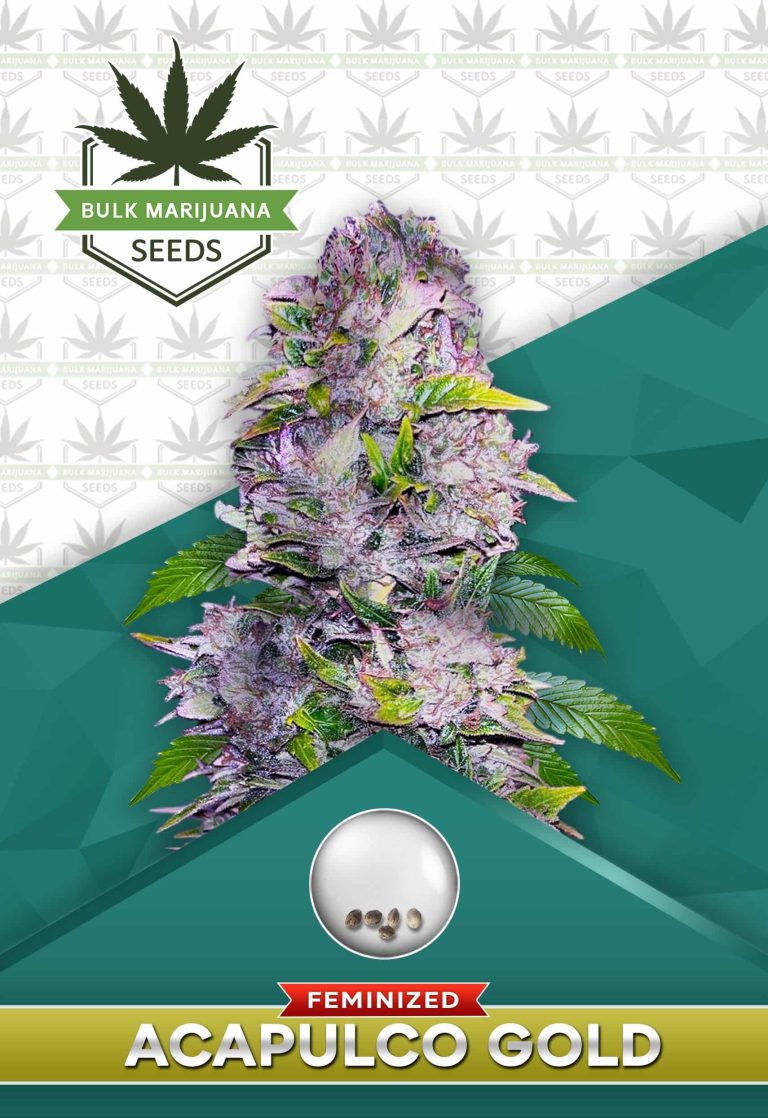 Acapulco Gold Strains