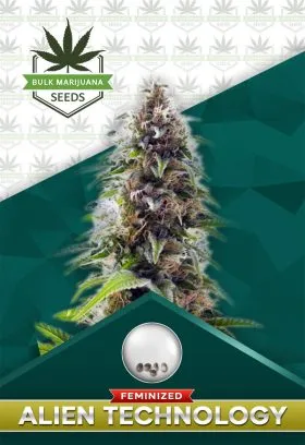 Alien Technology Strain Feminized