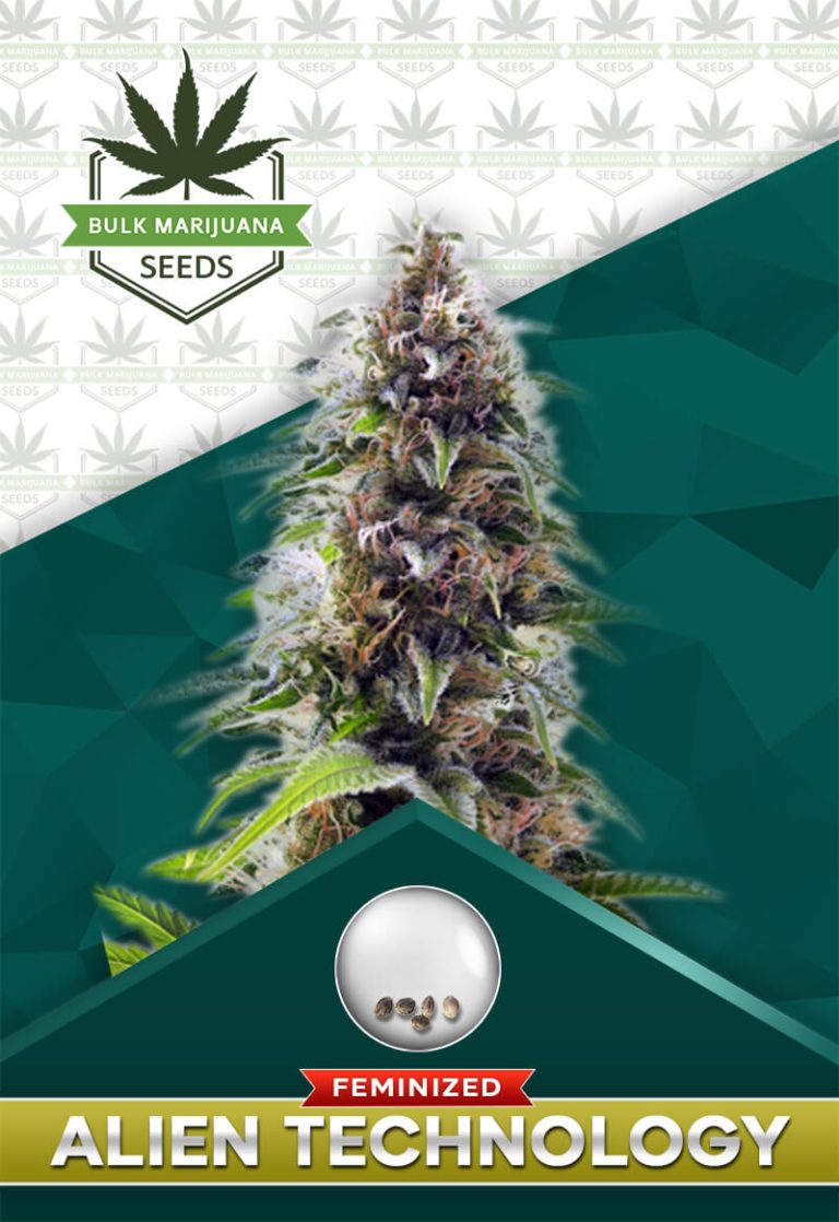 Alien Technology Strain Feminized