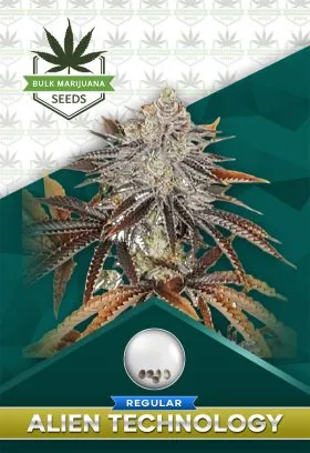 Alien Technology Strain Regular Marijuana Seeds