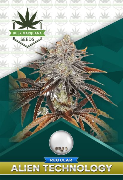 Alien Technology Strain Regular Marijuana Seeds