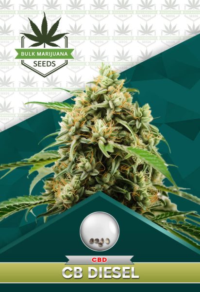 CB Diesel Strain