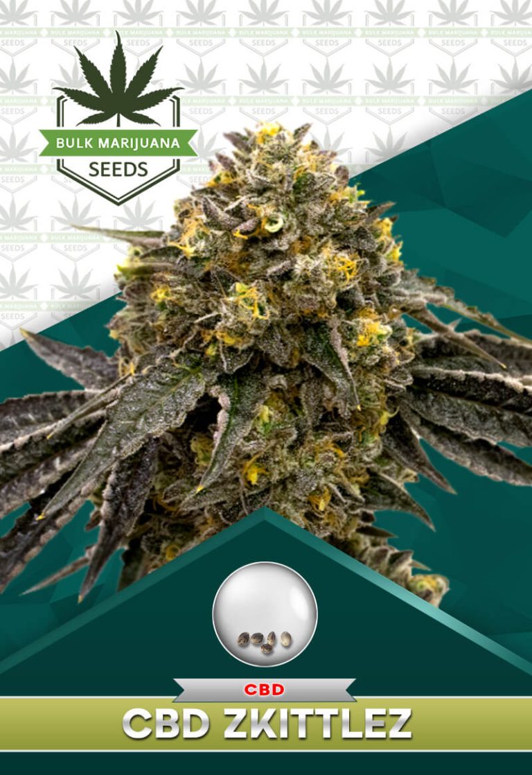 CBD Zkittlez Strain