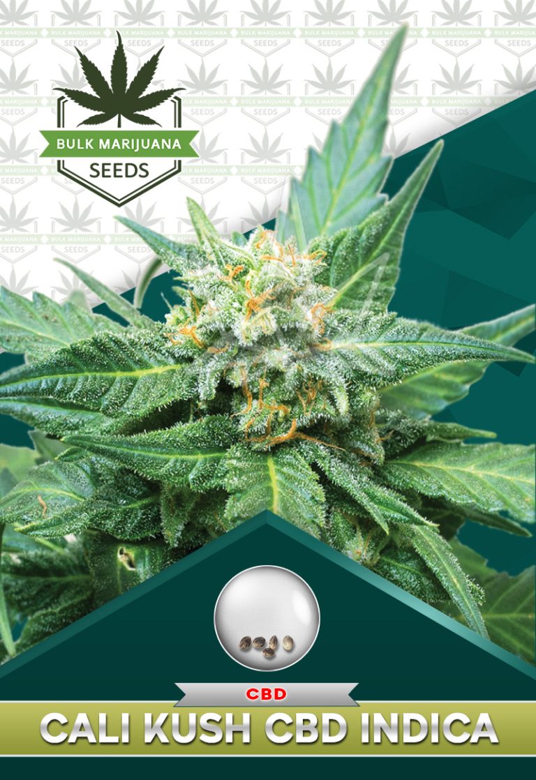 Cali Kush CBD Indica