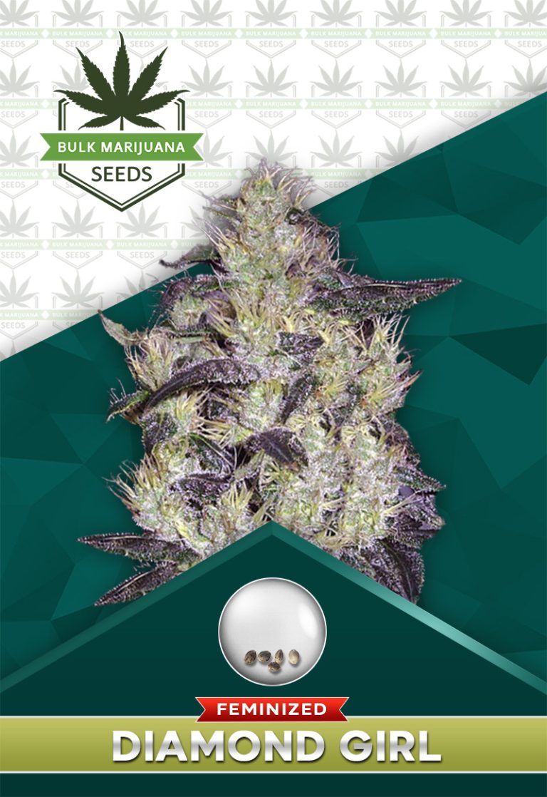 Diamond Girl Feminized