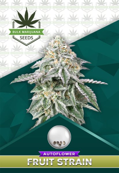Fruit Strain Autoflower