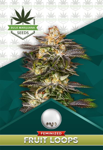 Fucking Incredible Strain Feminized