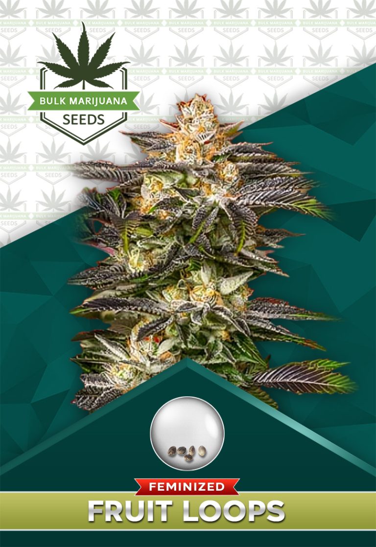 Fucking Incredible Strain Feminized