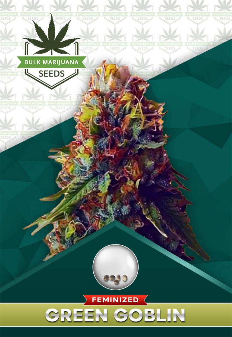 Green Goblin Strain Feminized