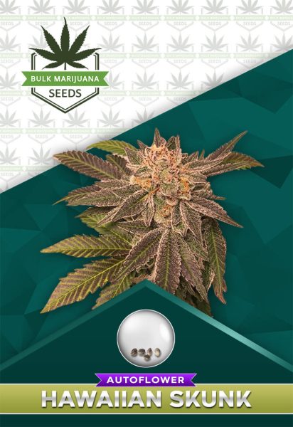 Hawaiian Skunk Strain