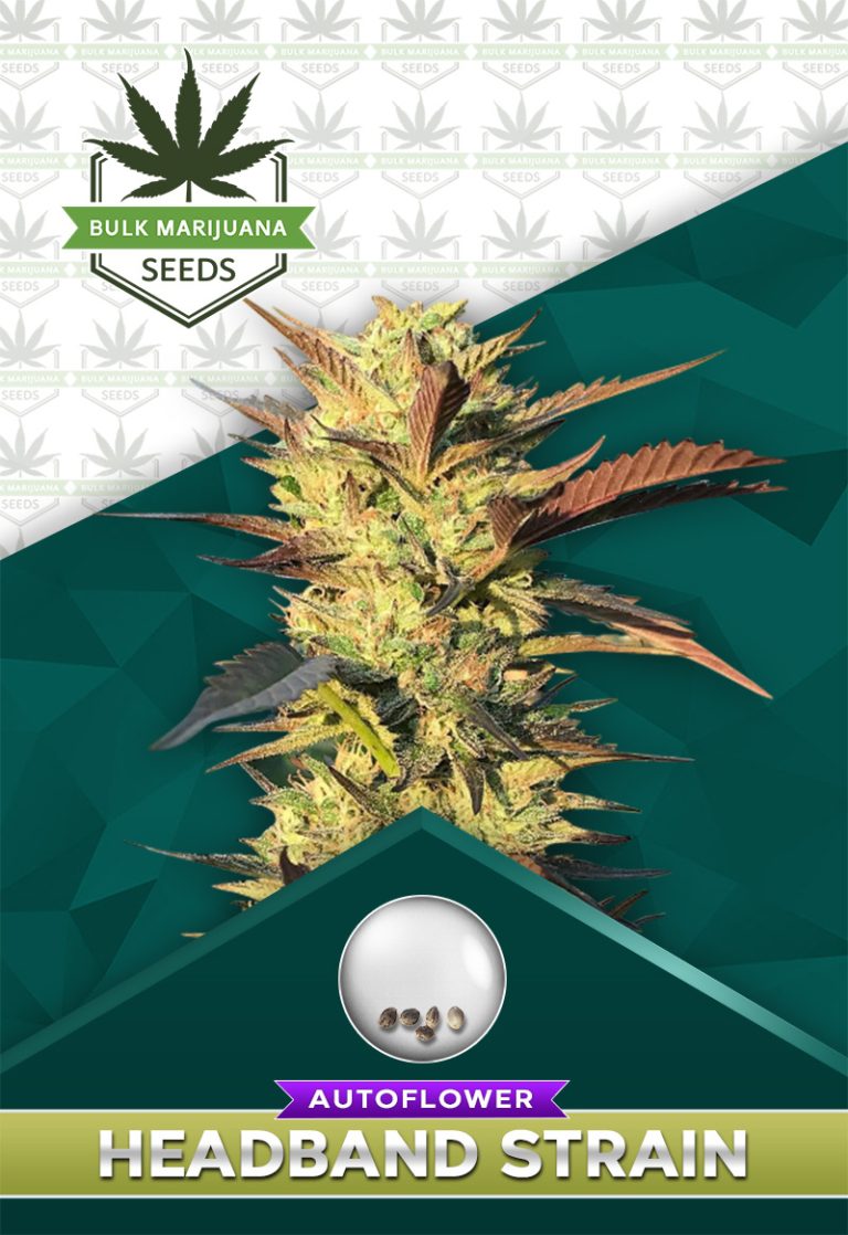 Headband Strain