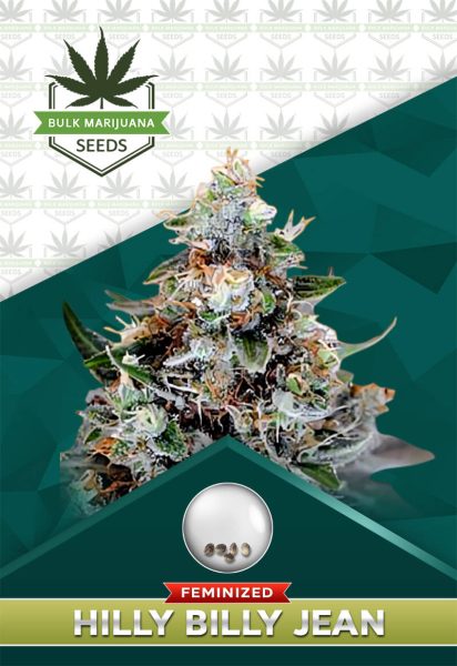 Hilly Billy Jean Strain Feminized