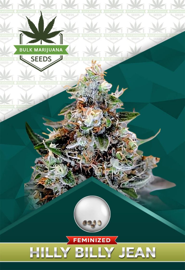 Hilly Billy Jean Strain Feminized