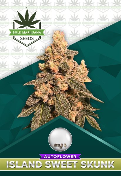 Island Sweet Skunk Strain