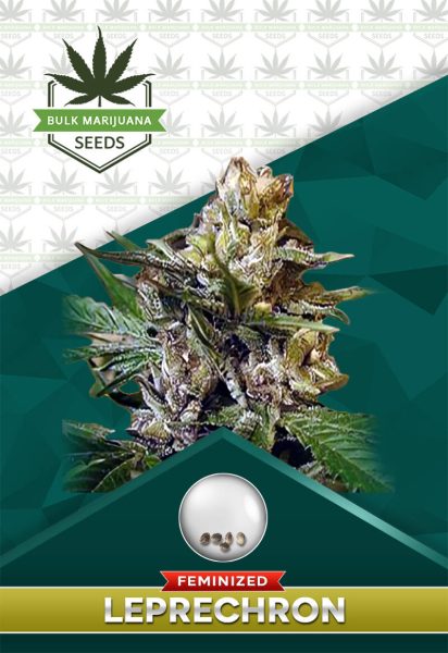 Leprechron Strain Feminized