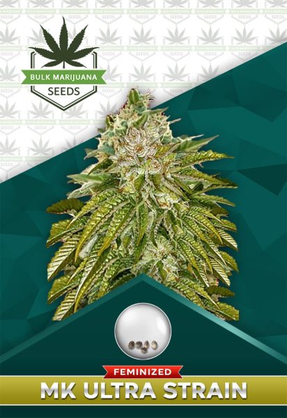 MK Ultra Strain Feminized
