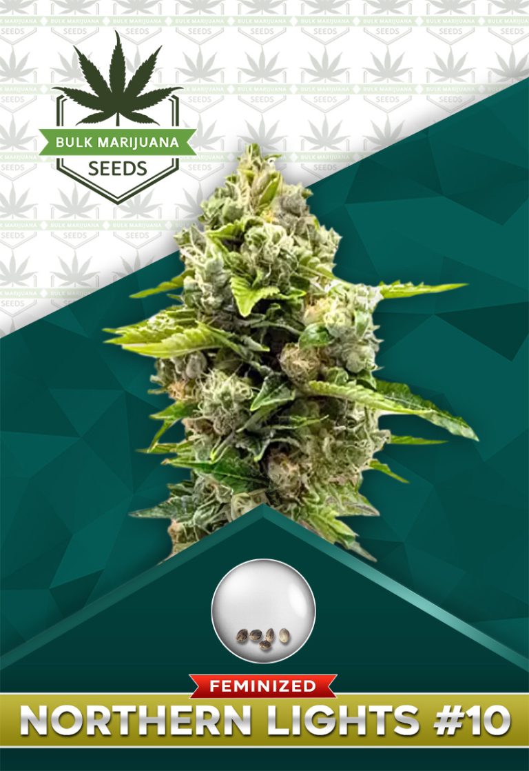 Northern Lights #10 Strain Feminized Marijuana Seeds