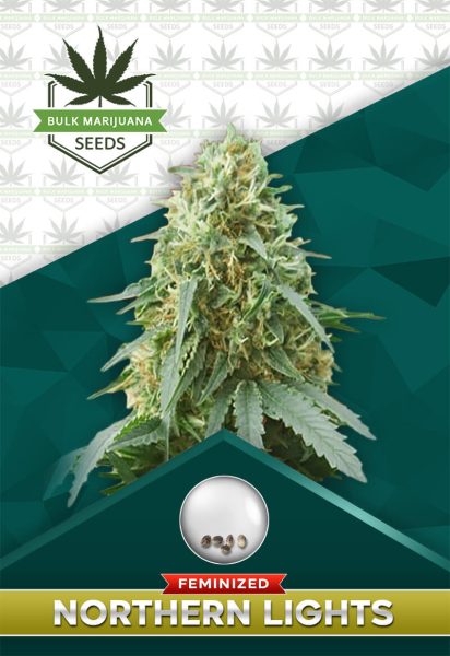 Northern Lights Strain Feminized Marijuana Seeds