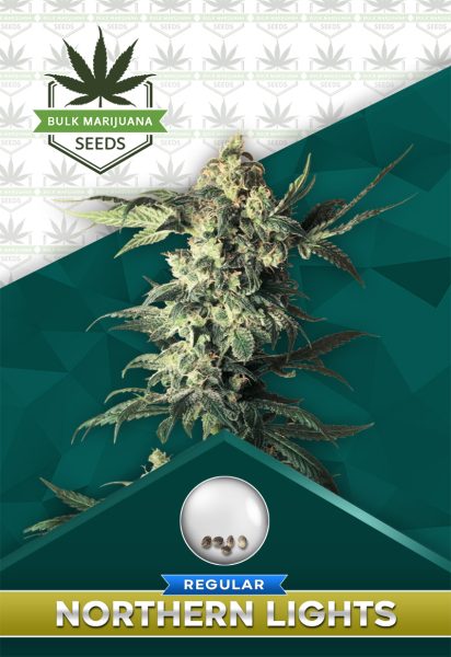 Northern Lights Strain Regular Marijuana Seeds