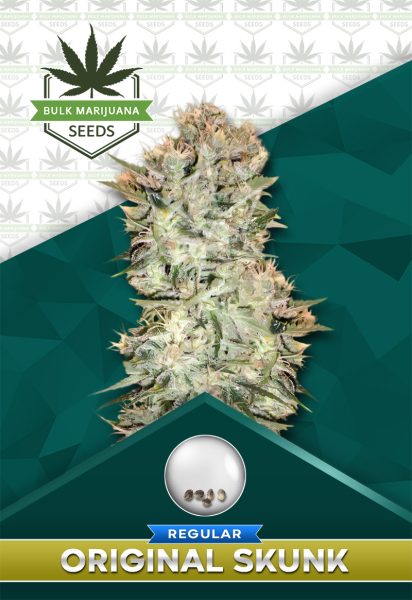 Original Skunk Strain Regular Marijuana Seeds