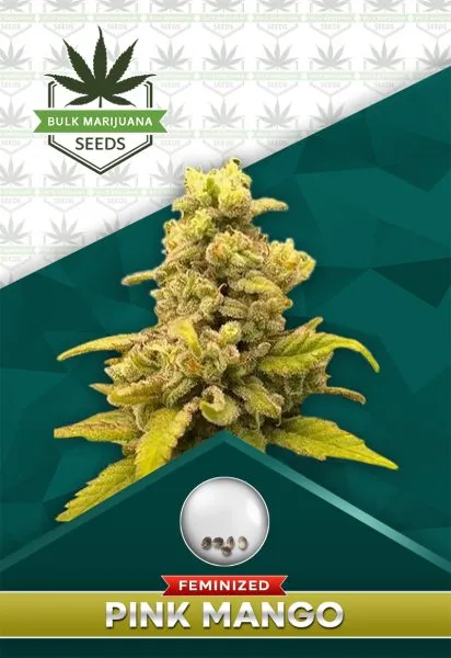 Pink Mangos Feminized Marijuana Seeds