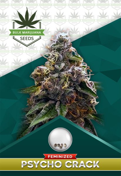 Psycho Crack Strain Feminized Marijuana Seeds