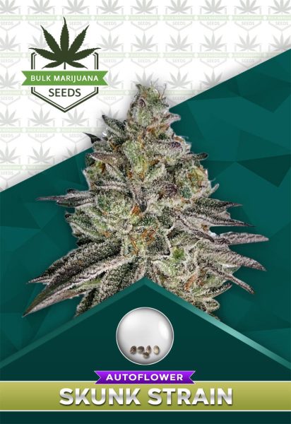 Skunk Strain Autoflower