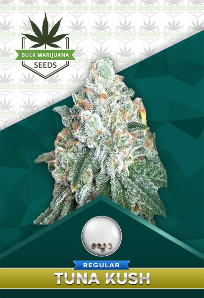 Tuna Kush Regular Cannabis Seeds