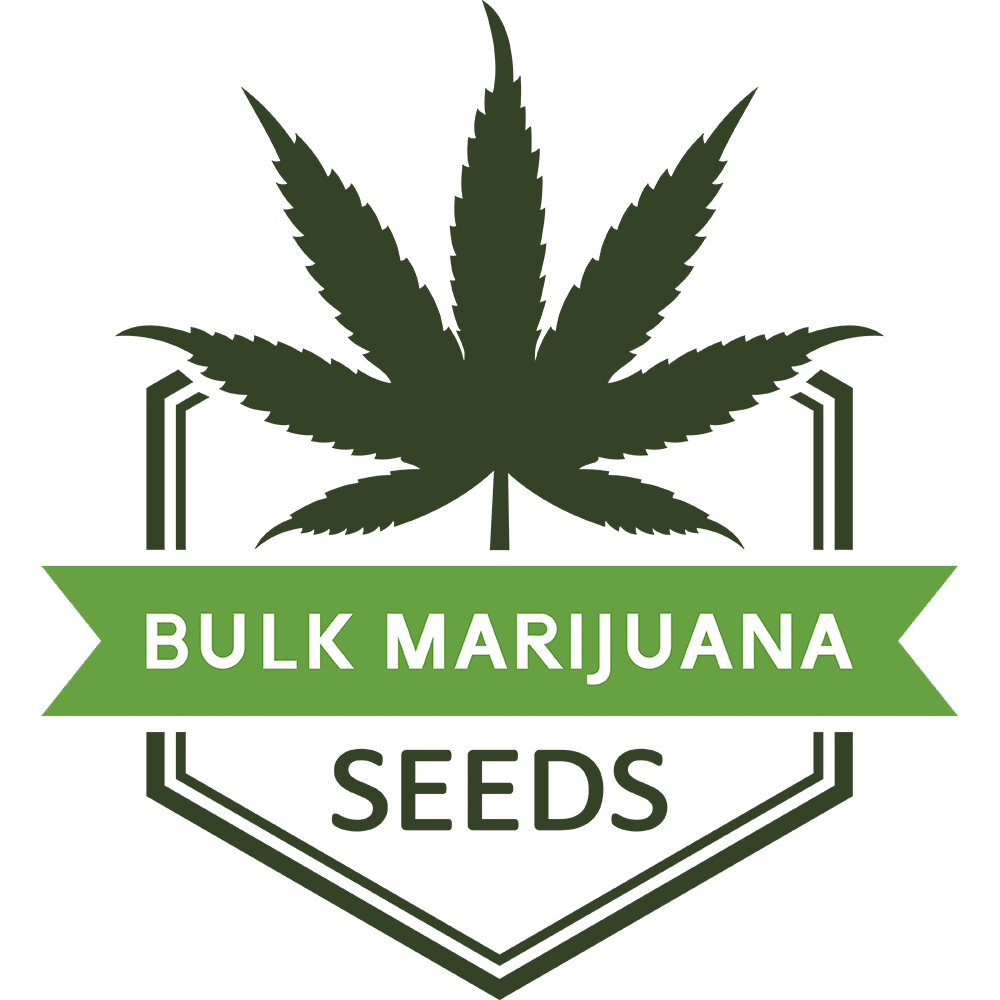 Bulk MJ Seeds