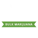 Bulk Marijuana Seeds Logo