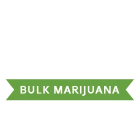 Bulk Marijuana Seeds Logo