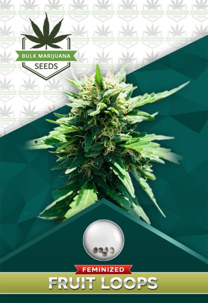 Fruit Loops Strain Feminized