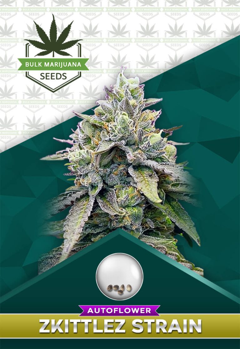 Zkittlez Strain Autoflowering