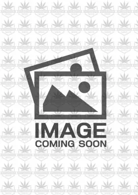 Acai Gelato Strain Feminized Marijuana Seeds