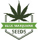 Bulk Marijuana Seeds Logo